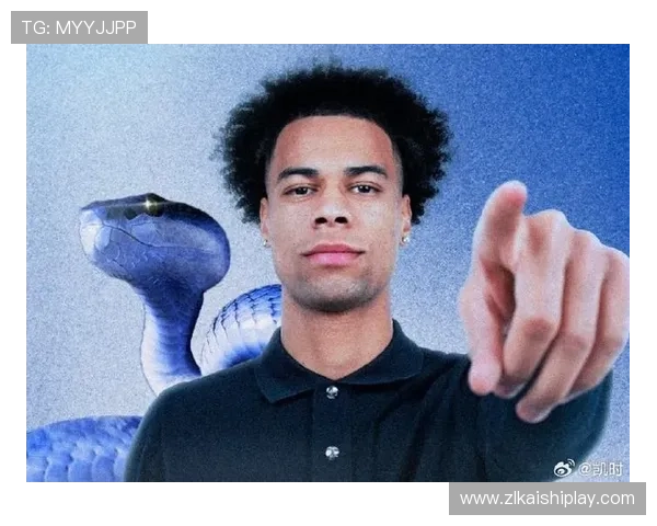 尊龙凯时在线登录入口稳定性分析，保障玩家全天候顺畅游戏体验